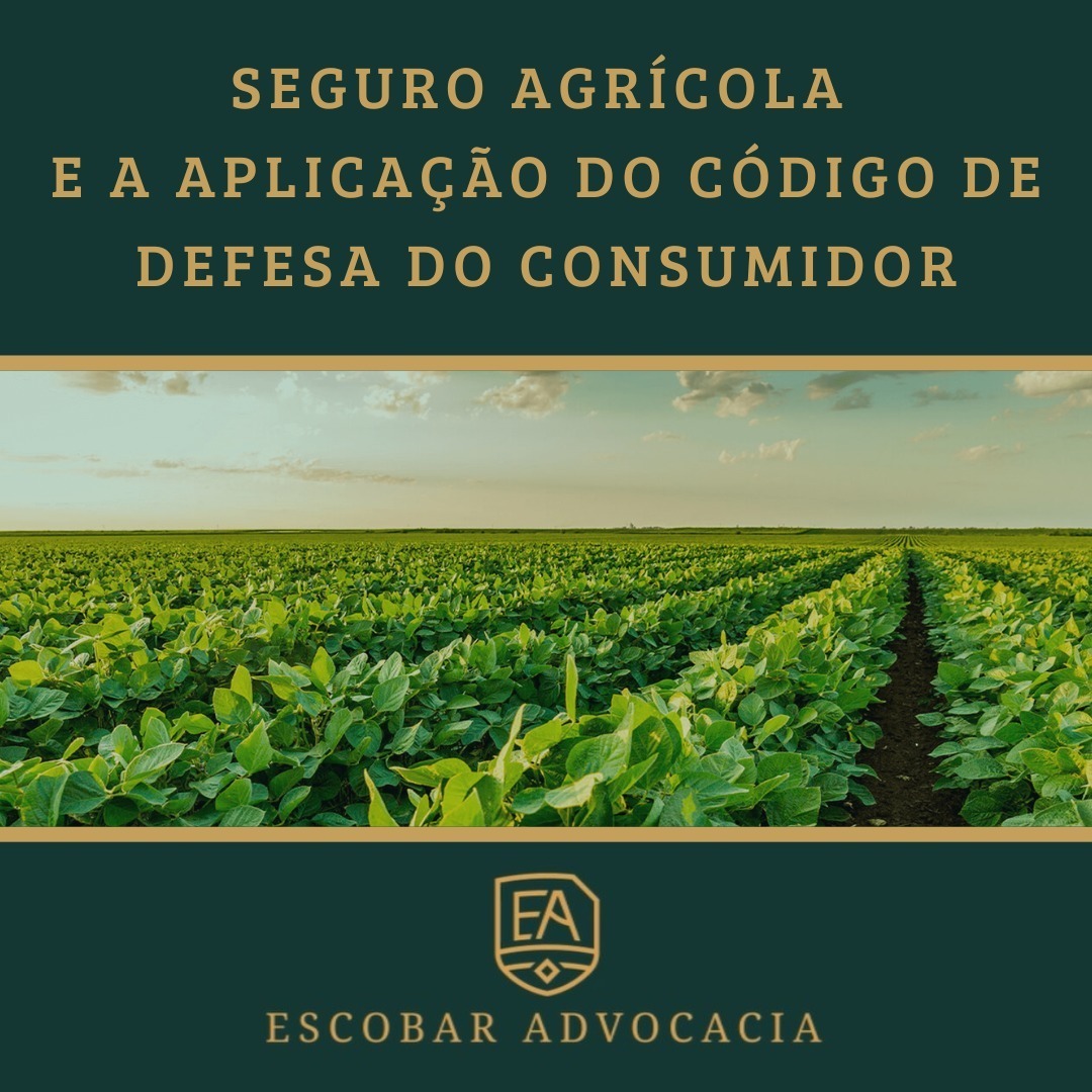Galeria 5