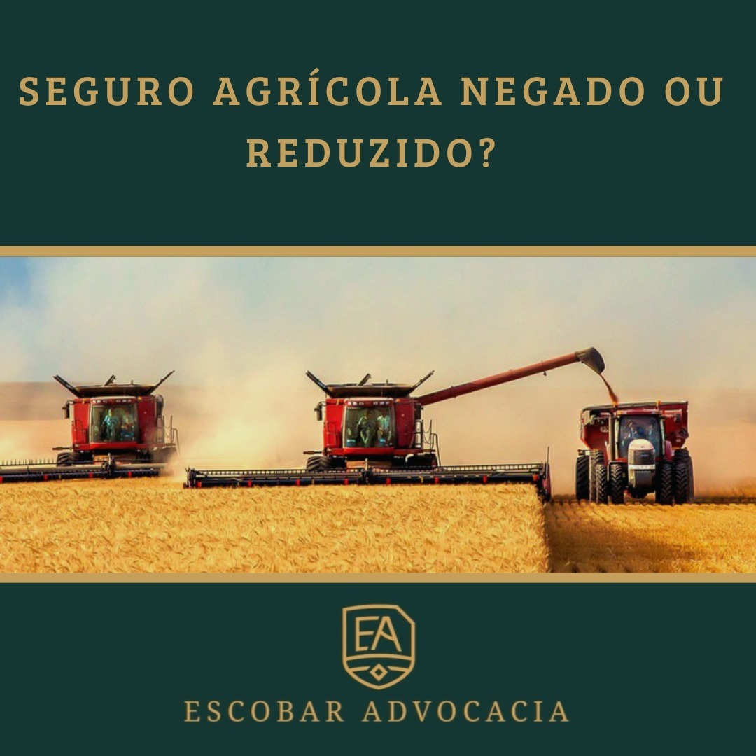 Galeria 6